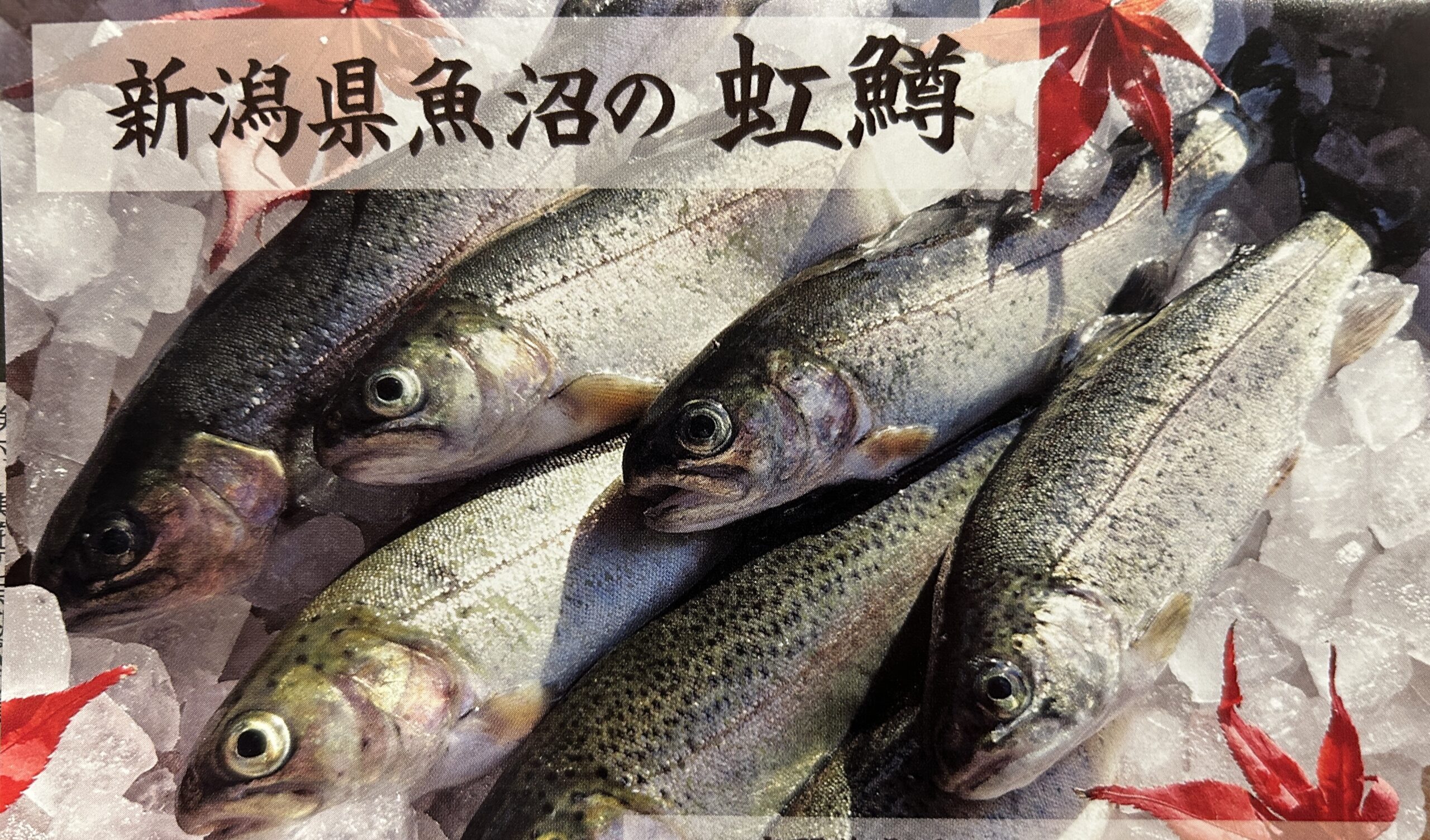 フランス料理の会　6月